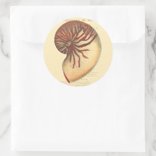  rode kegel Shell Ronde Sticker (Tas)