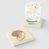  rode kegel Shell Stenen Onderzetter (Zijkant)