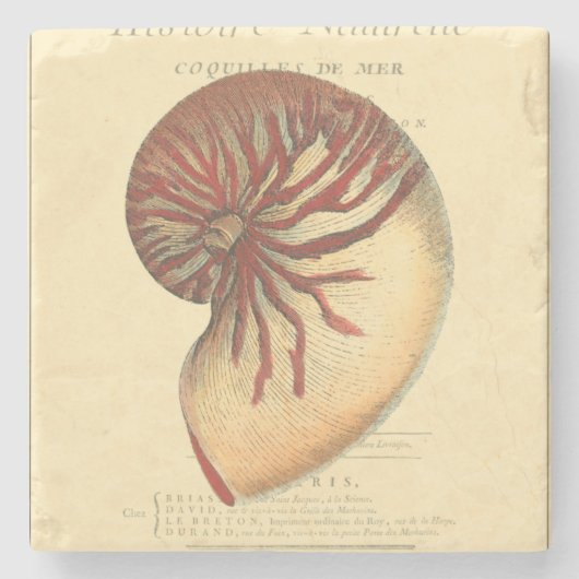  rode kegel Shell Stenen Onderzetter (Voorkant)