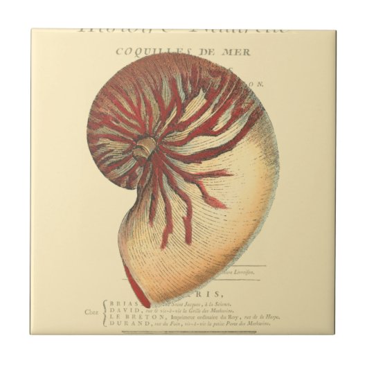  rode kegel Shell Tegeltje (Voorkant)