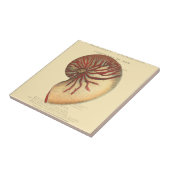  rode kegel Shell Tegeltje (Zijkant)