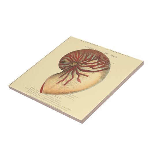 rode kegel Shell Tegeltje (Zijkant)