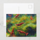 Rode kersegarna's met draadalgen briefkaart (Voorkant / Achterkant)