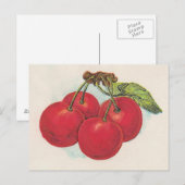 Rode kersen briefkaart (Voorkant / Achterkant)