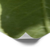 rode kersen poster (Hoek)