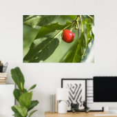 rode kersen poster (Thuiskantoor)