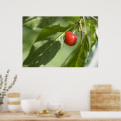 rode kersen poster (Keuken)