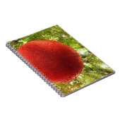 Rode Kerst Ornament Bol Notitieboek (Rechterzijde)