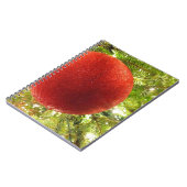 Rode Kerst Ornament Bol Notitieboek (Linkerzijde)