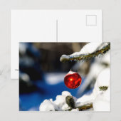 Rode kerstbal, zonnige dag briefkaart (Voorkant / Achterkant)