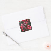 Rode Kerstbessen. Vierkante Sticker (Envelop)