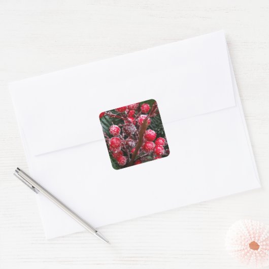 Rode Kerstbessen. Vierkante Sticker (Envelop)