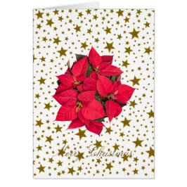 Rode kerstbloem en dunne gouden sterren