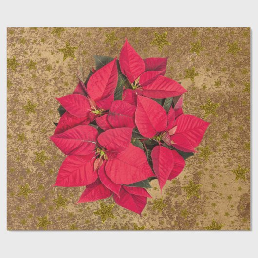 Rode kerstbloem, gouden sterren op abstract papier (Vlak)