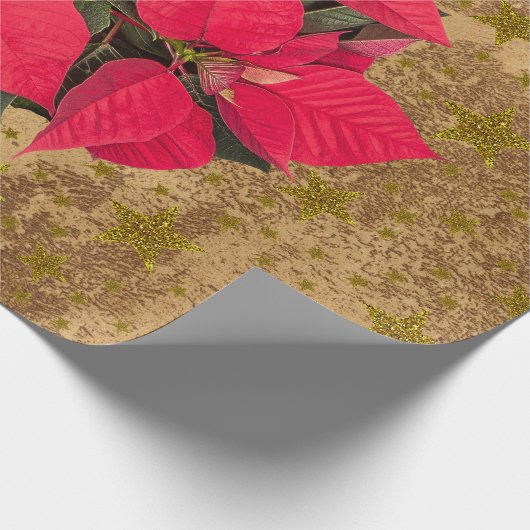 Rode kerstbloem, gouden sterren op abstract papier (Hoek)