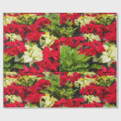 Rode kerstbloem Poinsettia Cadeaupapier (Vlak)