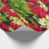 Rode kerstbloem Poinsettia Cadeaupapier (Hoek)