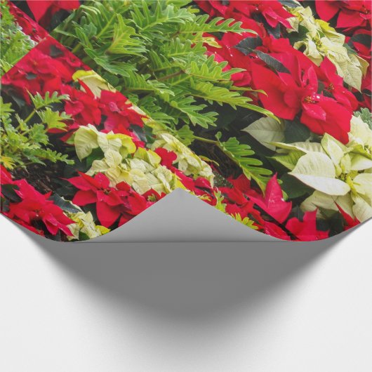 Rode kerstbloem Poinsettia Cadeaupapier (Hoek)
