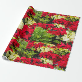 Rode kerstbloem Poinsettia Cadeaupapier
