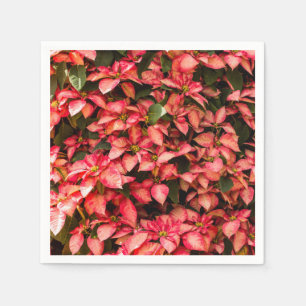 Rode kerstbloem "Poinsettia" Servet