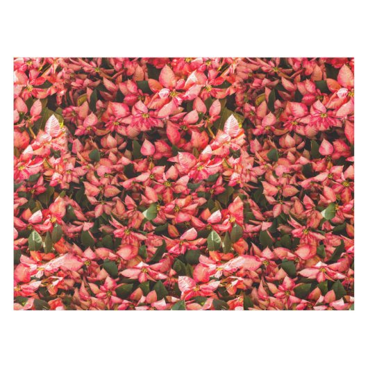 Rode kerstbloem Poinsettia Tafelkleed (Voorkant (Horizontaal))