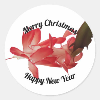 Rode kerstcactus Floral Foto voor kerst Ronde Sticker
