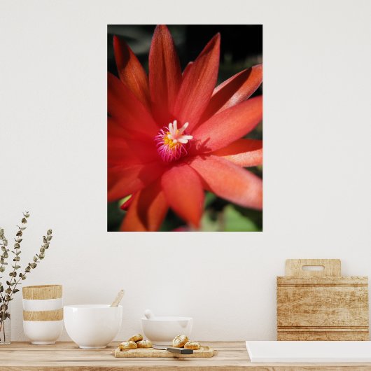 Rode kerstcactus ventilator poster (Keuken)