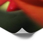 Rode kerstcactus ventilator poster (Hoek)