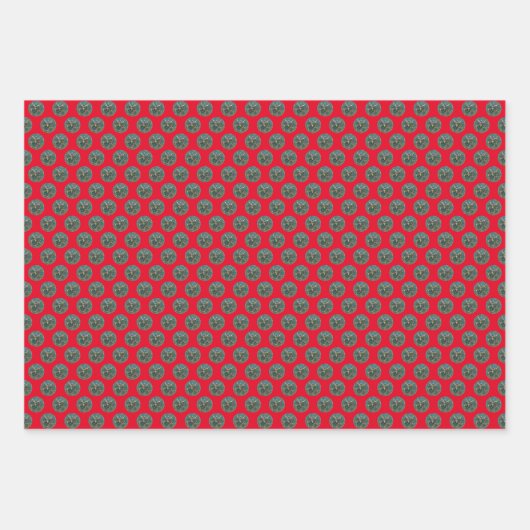 Rode Kerstman Kerstmis Inpakpapier Vel (Voorkant)