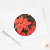 Rode Kerstmis met Poinsettia Envelope zegels (Envelop)