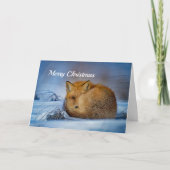 Rode Kerstmis van de Vos Feestdagen Kaart (Voorkant)