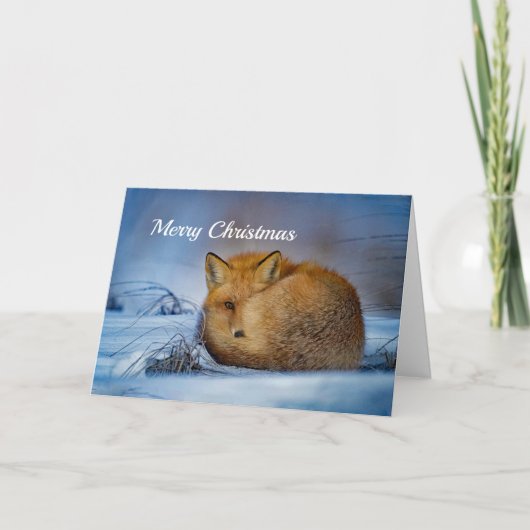 Rode Kerstmis van de Vos Feestdagen Kaart (Voorkant)