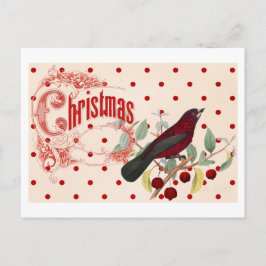 Rode kerstvogel feestdagenkaart