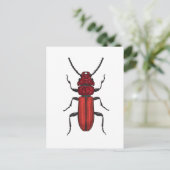 Rode kever briefkaart (Staand voorkant)