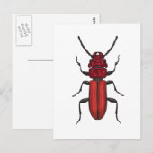 Rode kever briefkaart (Voorkant / Achterkant)