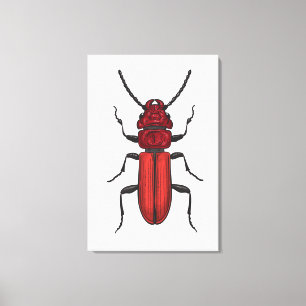 Rode kever canvas afdruk