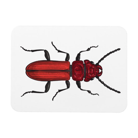 Rode kever magneet (Horizontaal)