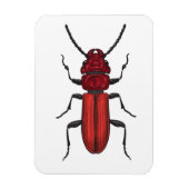 Rode kever magneet (Verticaal)