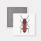 Rode kever magneet (Voorkant / Achterkant)