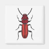 Rode kever magneet (Voorkant)