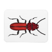 Rode kever magneet (Horizontaal)