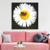 Rode Kever op Witte Madelief Macro Poster Canvas Afdruk (Insitu (Woonkamer))