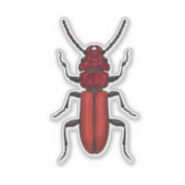 Rode kever sticker (Voorkant)