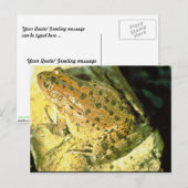 Rode kikker briefkaart (Voorkant / Achterkant)