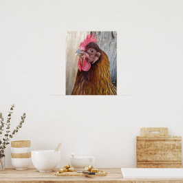 Rode Kip Hen Foto Poster