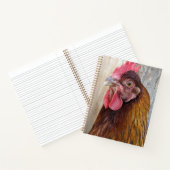 Rode Kip Kuiken Foto Notitieboek (Binnen)