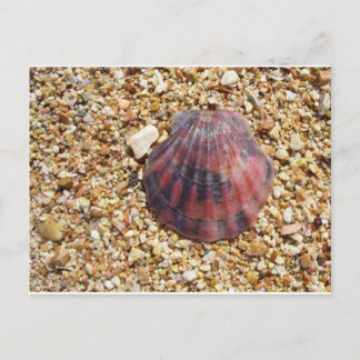 Rode klam op zandstrandfoto's briefkaart