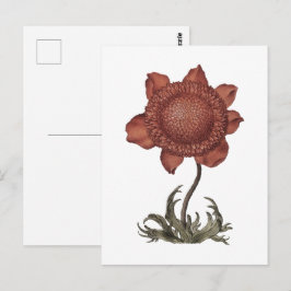 Rode klaproos anemoon bloesem briefkaart