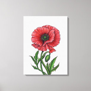 Rode klaproos, aquarel en inkt canvas afdruk