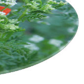 Rode klaproos Bloem Decorative Glasplaat | Bloem A Snijplank (Hoek)